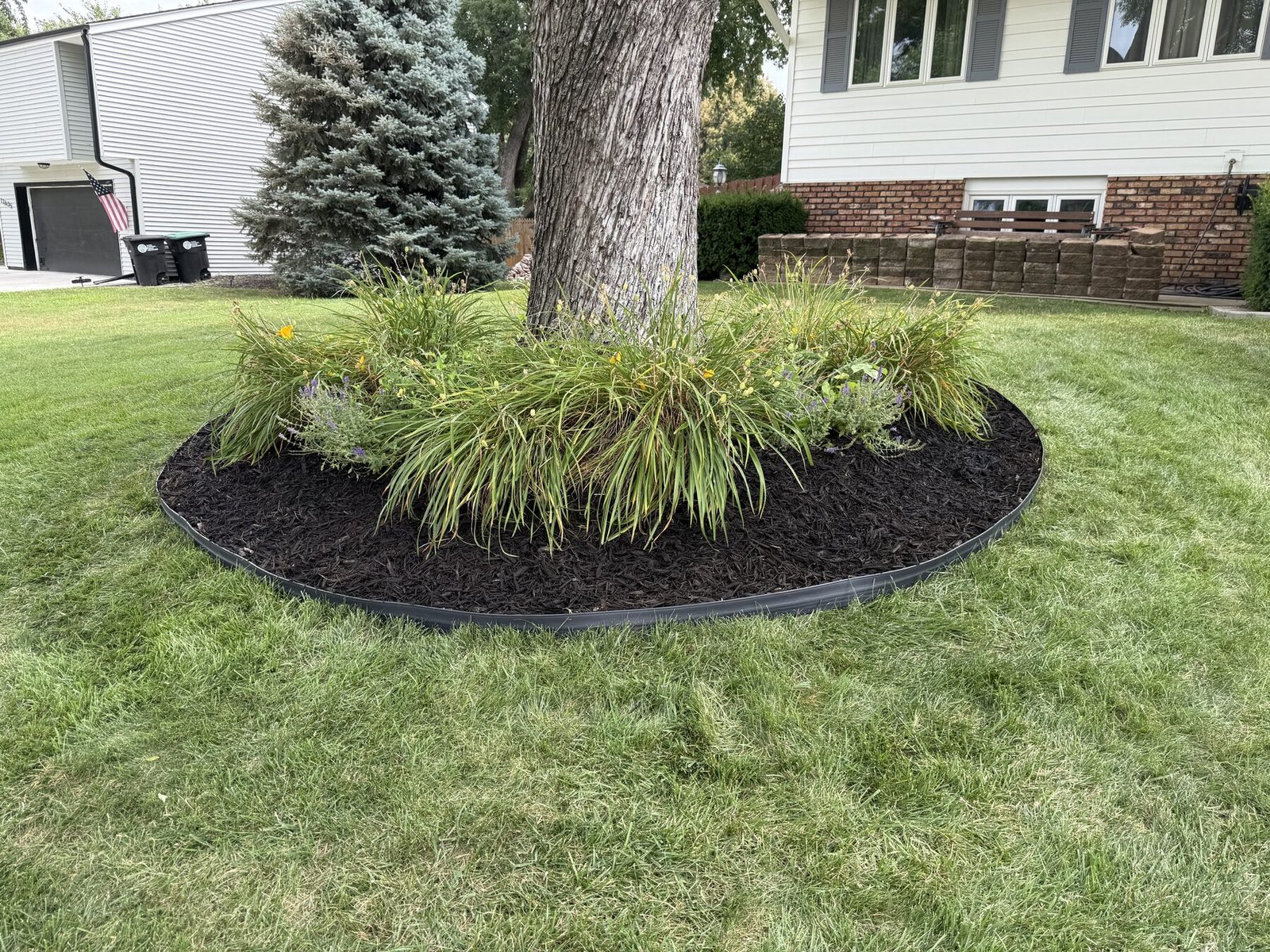 Fresh black mulch and edging around a mature tree